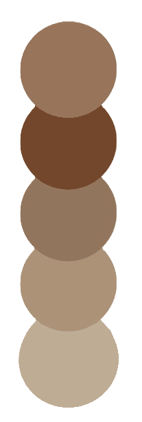 Attire Color Scheme